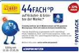 44FACH °P von Payback bei Netto Marken-Discount im Angebot 44FACH °P von Payback im aktuellen Netto Marken-Discount Prospekt