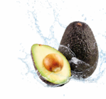 Avocado bei Netto Marken-Discount im Prospekt "" für 1,99 €