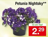 Zimmermann Hochheim - Petunia Nightsky Petunia Nightsky Angebot bei Zimmermann Hochheim im Prospekt Mehr als Du denkst!
