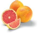 Grapefruit rose Angebot in Großheringen Grapefruit rose im aktuellen Prospekt bei Netto Marken-Discount in Großheringen