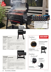 Schrank im Hagebaumarkt Prospekt in Coesfeld Aktueller Hagebaumarkt Prospekt mit Schrank, "Grillen", Seite 30