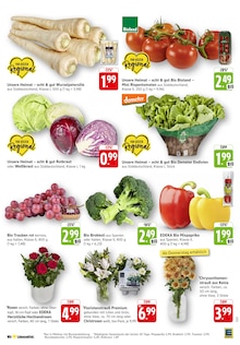 Blumen im aktuellen EDEKA Prospekt (Saarbrücken) Blumen im EDEKA Prospekt "Aktuelle Angebote" mit 40 Seiten (Saarbrücken)