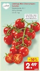 Aktuelles Mini Cherryrispentomaten Angebot bei Netto Marken-Discount in Dortmund ab 2,49 €