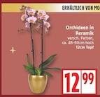 Orchideen in Keramik von  im aktuellen EDEKA Prospekt für 12,99 €