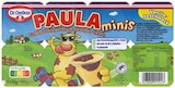 REWE Usingen - Paula Vanille-Pudding minis Angebot im Prospekt Paula Vanille-Pudding minis bei REWE im Usingen Prospekt für 1,49 €