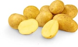 Pfälzer Grumbeere im Angebot bei Netto Marken-Discount in Pirmasens Pfälzer Grumbeere Angebote bei Netto Marken-Discount Pirmasens für 2,22 €
