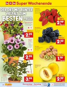 Blumen im aktuellen Netto Marken-Discount Prospekt (Augsburg) Blumen im Netto Marken-Discount Prospekt "Aktuelle Angebote" mit 60 Seiten (Augsburg)