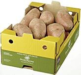 Metro Memmingen - Süsskartoffeln Süsskartoffeln Angebot bei Metro Memmingen im Prospekt Gastro-Journal