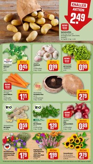 Pflanzen im aktuellen REWE Prospekt (Freiburg (Breisgau)) Pflanzen im REWE Prospekt "Dein Markt" mit 14 Seiten (Freiburg (Breisgau))