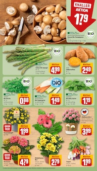 Spargel im REWE Prospekt "Dein Markt" mit 16 Seiten (Erlangen)