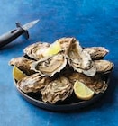 Huitres fines bretagne - U en promo chez U Express Cholet à 6,95 €