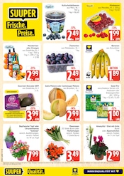 Obst im E center Prospekt in Rostock Aktueller E center Prospekt mit Obst, "Top Angebote", Seite 4