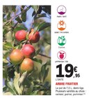 Arbre Fruiter à 19,95 € dans le catalogue E.Leclerc