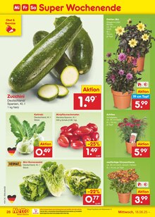 Blumen im aktuellen Netto Marken-Discount Prospekt (Paderborn) Blumen im Netto Marken-Discount Prospekt "Aktuelle Angebote" mit 59 Seiten (Paderborn)