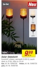 Solar-Dekolicht Angebote bei toom Baumarkt Wolfenbüttel für 9,99 €