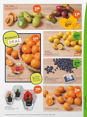 Aktueller tegut Prospekt mit Garten, "tegut… gute Lebensmittel", Seite 5