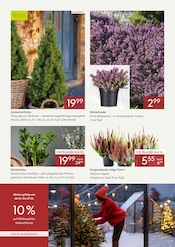 Garten im Pflanzen Kölle Prospekt in Germering Aktueller Pflanzen Kölle Prospekt mit Garten, "UNSERE STARKEN DAUERPREISE", Seite 3