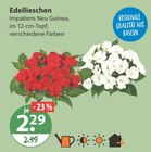 Heilkräuter im V-Markt Prospekt Edellieschen im aktuellen V-Markt Prospekt für 2,29 €