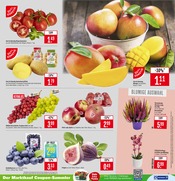 Kartoffeln im Marktkauf Prospekt in Maintal Aktueller Marktkauf Prospekt mit Kartoffeln, "Aktuelle Angebote", Seite 7