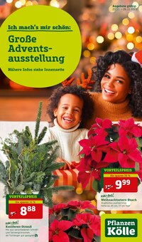 Pflanzen Kölle aktuelle Angebote im Prospekt vom Pflanzen Kölle