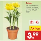 Aktuelles Tulpen Angebot bei Netto Marken-Discount in Hannover ab 3,99 €