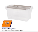Aufbewahrungsbox bei Action im Prospekt "" für 1,33 €