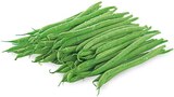 Aktuelles Buschbohnen Angebot bei REWE in Magdeburg ab 1,49 €
