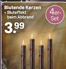 Blutende Kerzen Angebote bei Rossmann Bad Homburg für 3,99 €