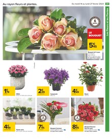 Bouquet De Fleurs Carrefour ᐅ Promos et prix dans le catalogue de la semaine