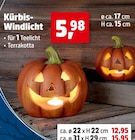Aktuelles Kürbis-Windlicht Angebot bei Thomas Philipps in Chemnitz ab 5,98 €