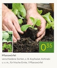 Pflanzwürfel im Pflanzen Kölle Prospekt Pflanzwürfel von im aktuellen Pflanzen Kölle Prospekt für 0,35 €