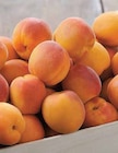 Promo Abricot à 2,49 € dans le catalogue Intermarché à Saint-Bonnet-lès-Allier