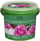 Rhododendron-Dünger im aktuellen Pflanzen Kölle Prospekt