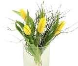 Strauß Tulpen Nova Angebote bei REWE Detmold für 3,99 €