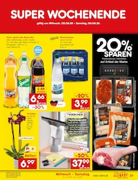 Zimmerpflanzen im Netto Marken-Discount Prospekt "Aktuelle Angebote" auf Seite 43