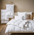 Aktuelles KOPFKISSEN Angebot bei XXXLutz Möbelhäuser in Münster ab 79,99 €