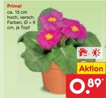 Aktuelle Pflanzen Angebote bei Netto Marken-Discount in Chemnitz Aktuelles Primel Angebot bei Netto Marken-Discount in Chemnitz ab 0,89 €