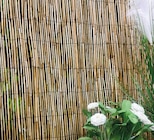 Brise-vue en roseaux 100×300cm dans le catalogue Maxi Bazar