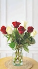 Bouquet 7 roses africado en promo chez Super U Bouquet 7 roses africado dans le catalogue Super U