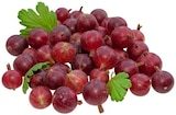 Rote Stachelbeeren im REWE Prospekt Rote Stachelbeeren von REWE Regional im aktuellen REWE Prospekt für 2,99 €