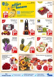 Pflanzen im E center Prospekt in Rostock Aktueller E center Prospekt mit Pflanzen, "Top Angebote", Seite 5