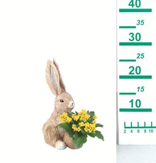 Bepflanzter Osterhase
