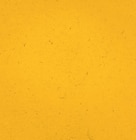 Deutsche Zwiebeln im aktuellen Penny Prospekt