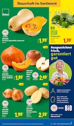 Lidl Kartoffeln im Prospekt 