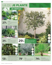 Promotion Cyprès dans le prospectus Carrefour, valable du 20/02/2026 au 09/03/2026 Promo Cyprès dans le catalogue Carrefour du moment à la page 10