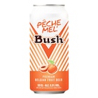 Bière - BUSH en promo chez Carrefour Bière - BUSH dans le catalogue Carrefour