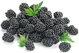 REWE Bühl - Brombeeren Angebot im Prospekt Brombeeren bei REWE im Bühl Prospekt für 1,79 €