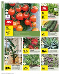 Offre Plant De Tomates dans le catalogue Carrefour du moment à la page 80