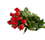 Vos bouquets préférés - Lidl à Montreuil Vos bouquets préférés en promo chez Lidl Montreuil à 1,99 €