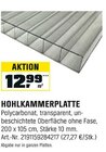 Hohlkammerplatte Angebote bei OBI Eisenach für 27,27 €